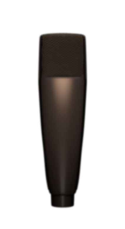 Mic Room