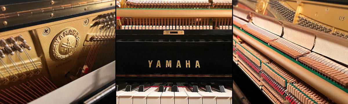 Pianoverse - Royal Upright Y5