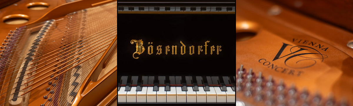 Pianoverse - Black Pearl B200