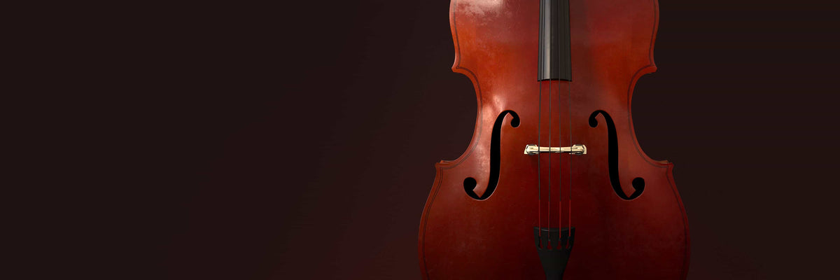 MODO BASS - Studio Upright