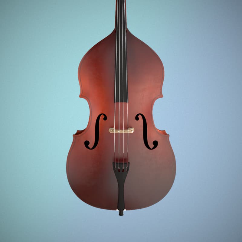 Double Bass